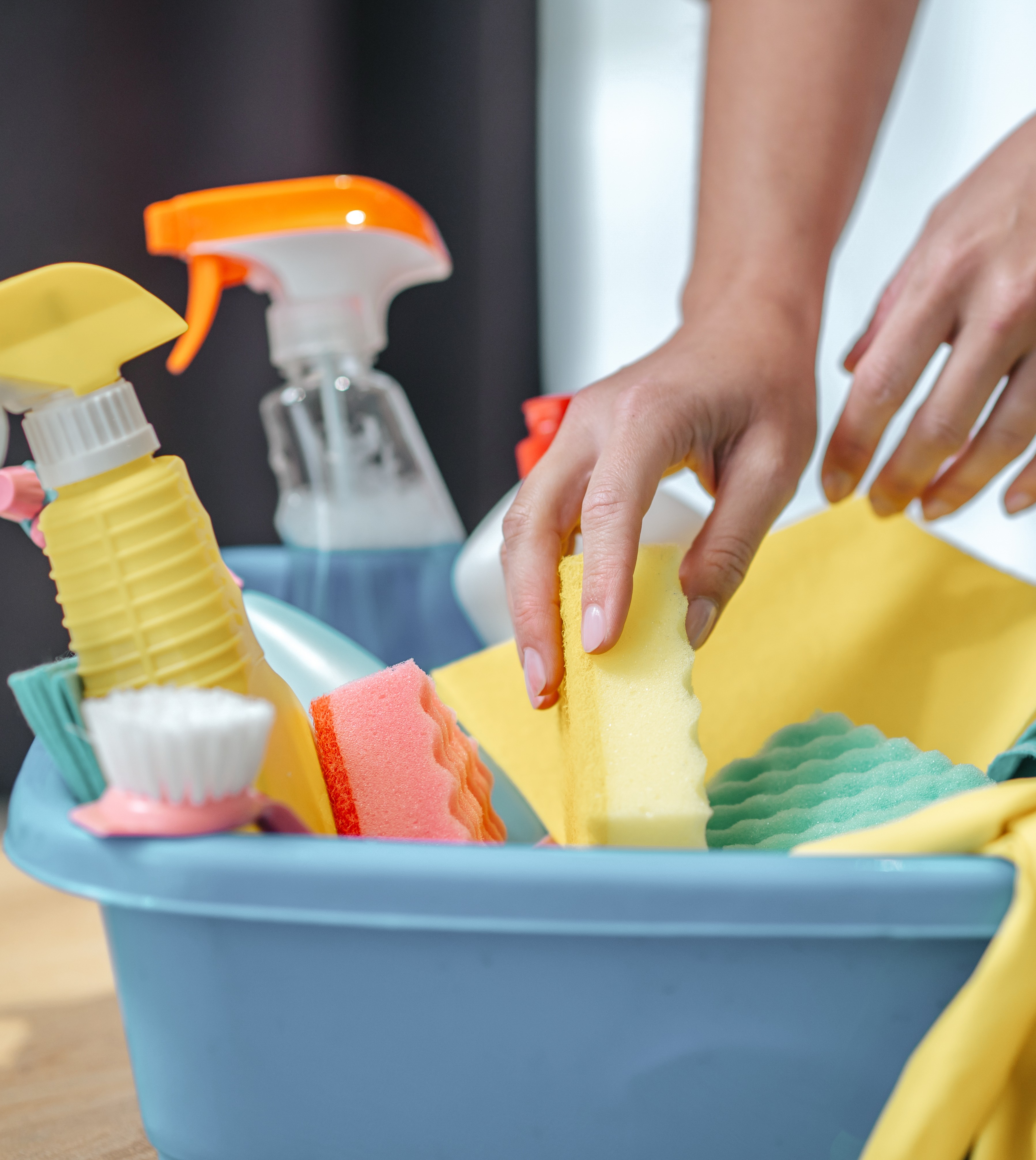 Professional regular home cleaning
